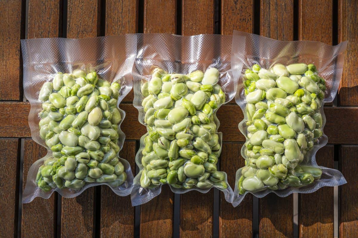 Broad Beans also Lima Beans peeled in vacuum sealed plastic bag ready to be frozen on wooden table just after hasvested and peeled

