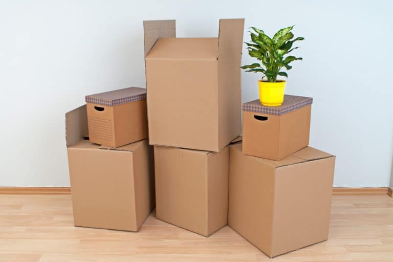 Cardboard boxes in new home - How To Pack Empty Plant Pots For Moving