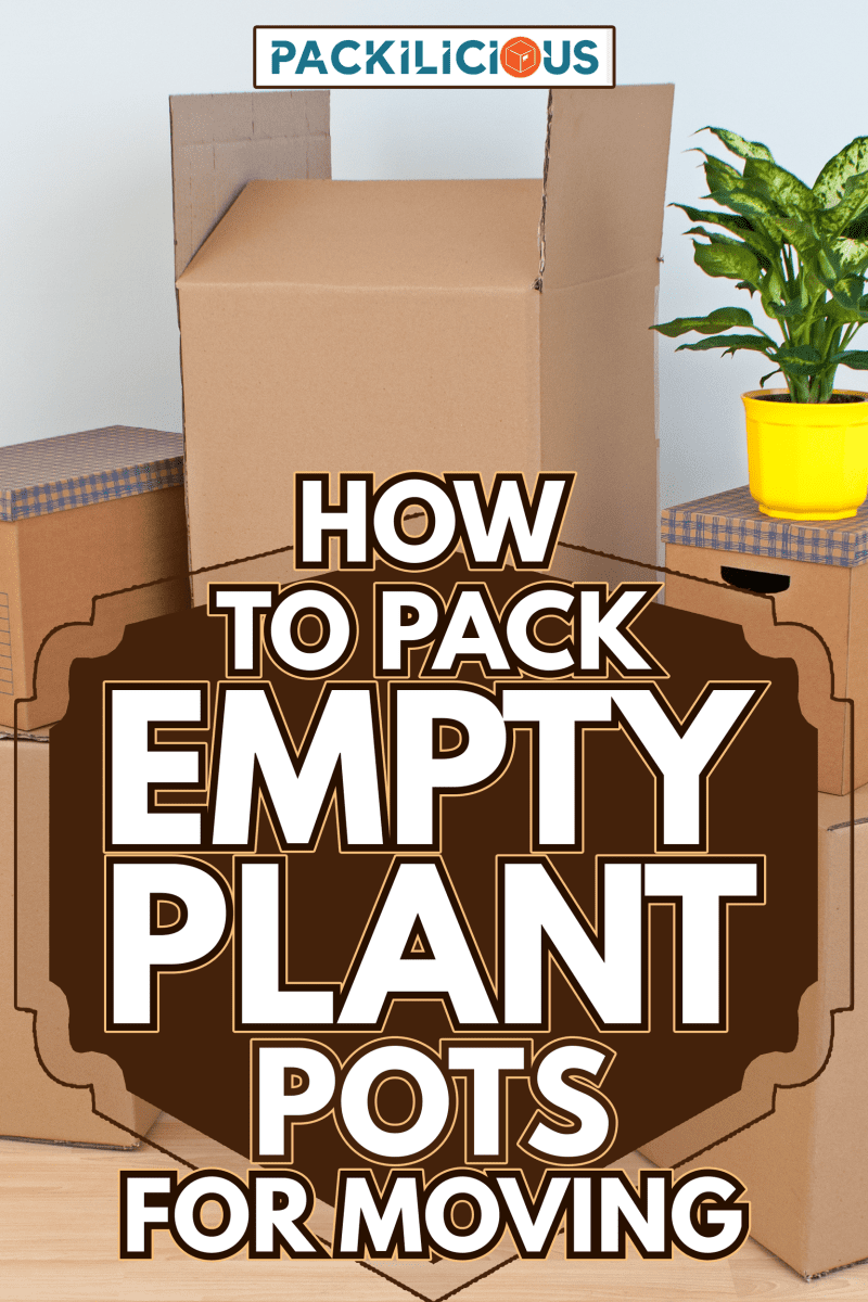 Cardboard boxes in new home - How To Pack Empty Plant Pots For Moving