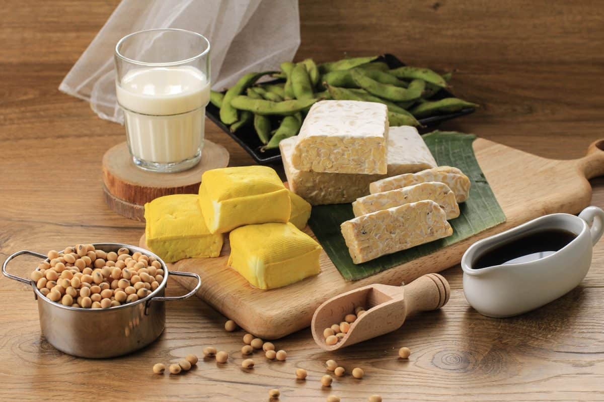 Soy Product: Raw Tofu, Tempeh, Soy Milk, Soy Sauce, and Soy Bean. Concept of Healthy Vegetarian Food


