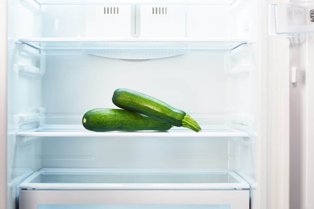 Two green zucchini on shelf of open empty refrigerator