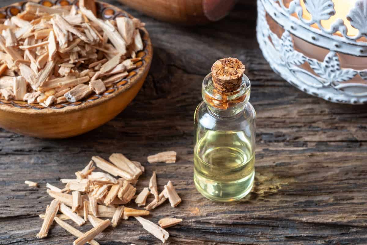 bottle of essential oil with cedar wood chips