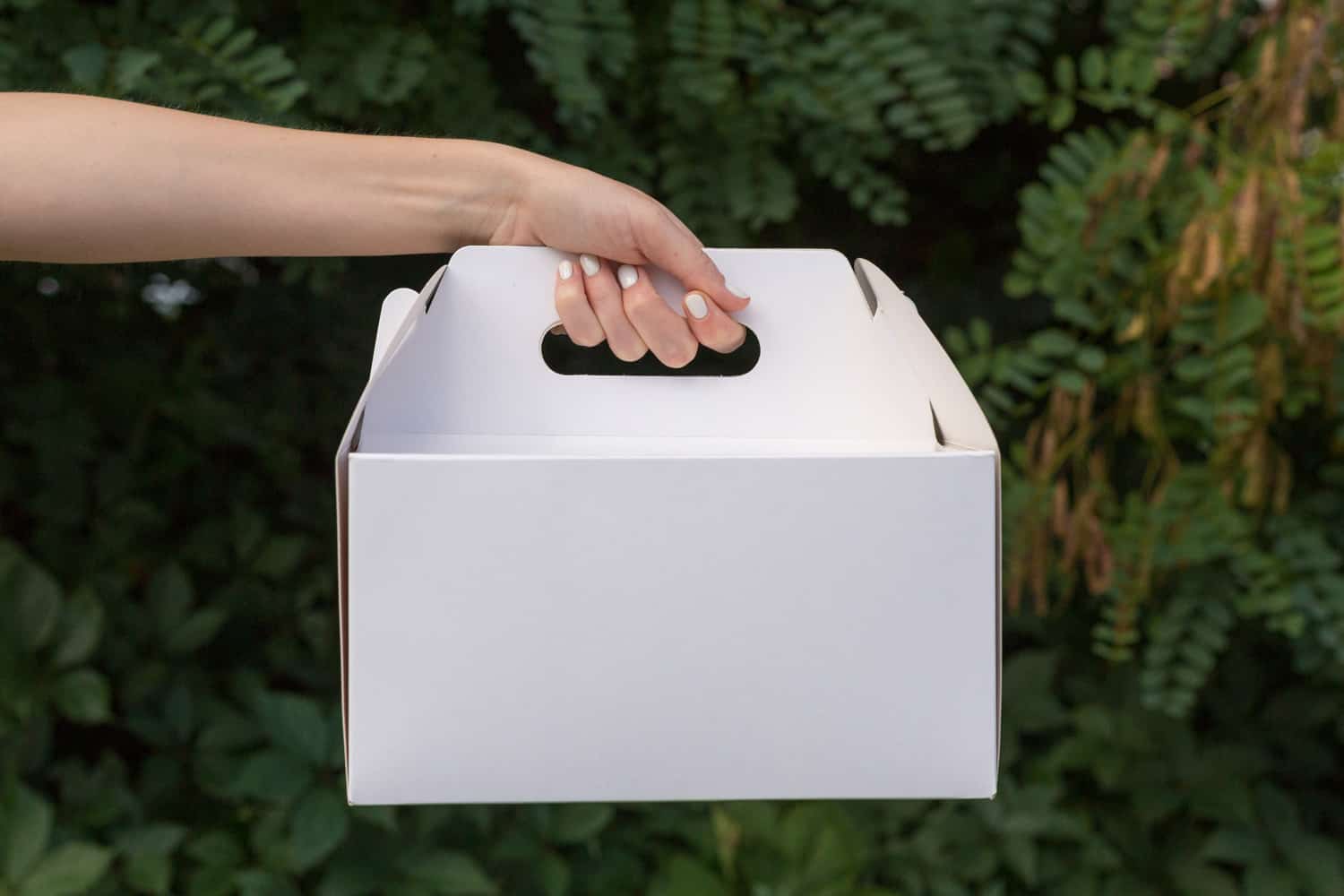 Close up female holds in hand cake dessert in unmarked clear empty blank cardboard box. Delivery concept.