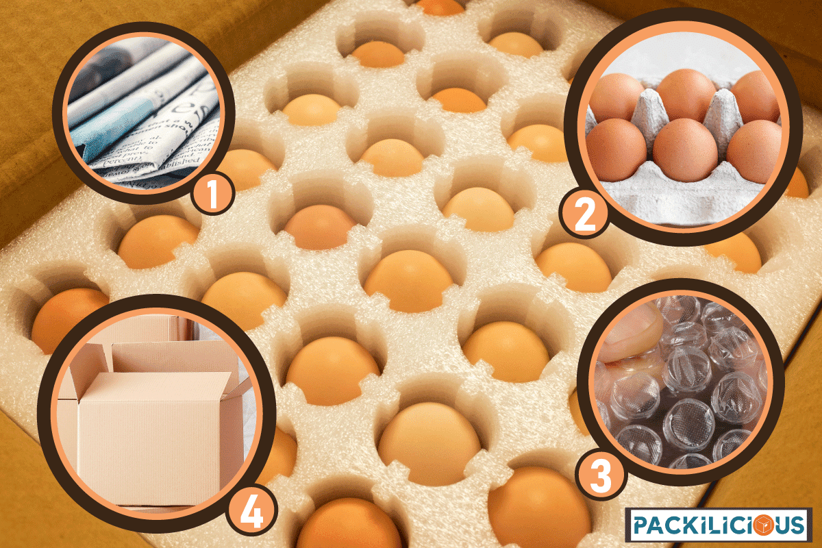 Ready for shipment fresh eggs, How To Ship Eggs For Hatching