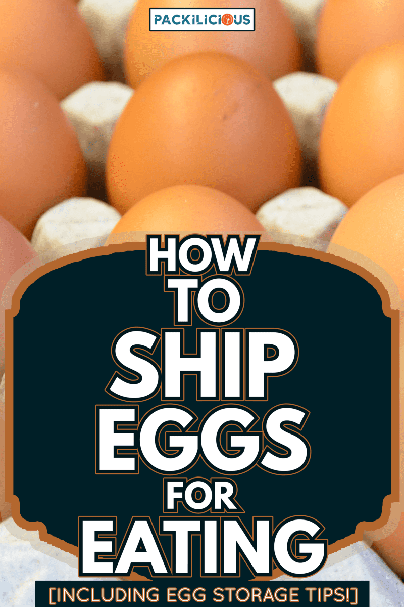 Eggs in a carton closeup view background - How To Ship Eggs For Eating [Including Egg Storage Tips!]