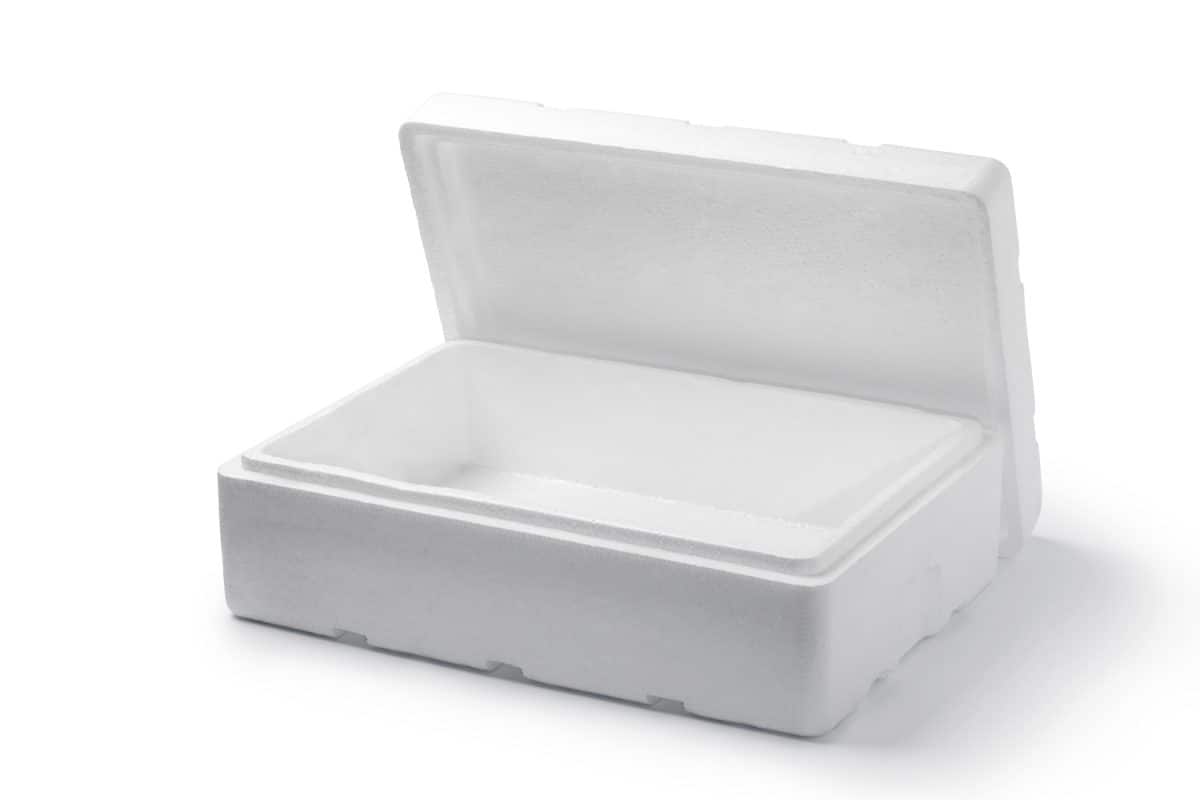 Empty styrofoam box

