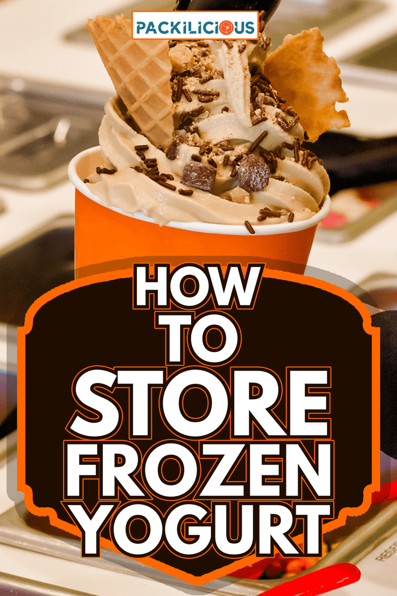 Frozen yogurt shop - How To Store Frozen Yogurt