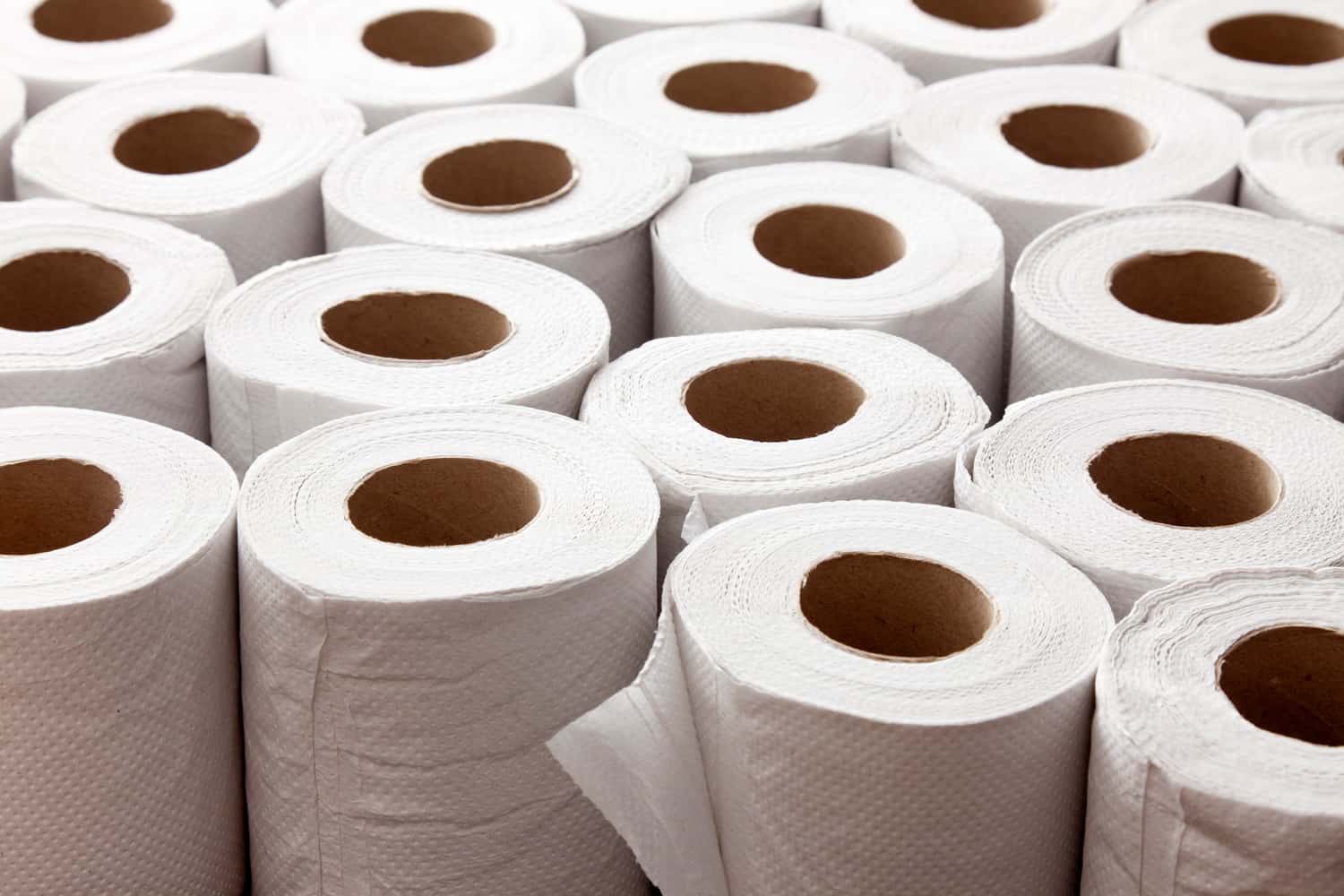 Lots of toilet paper rolls