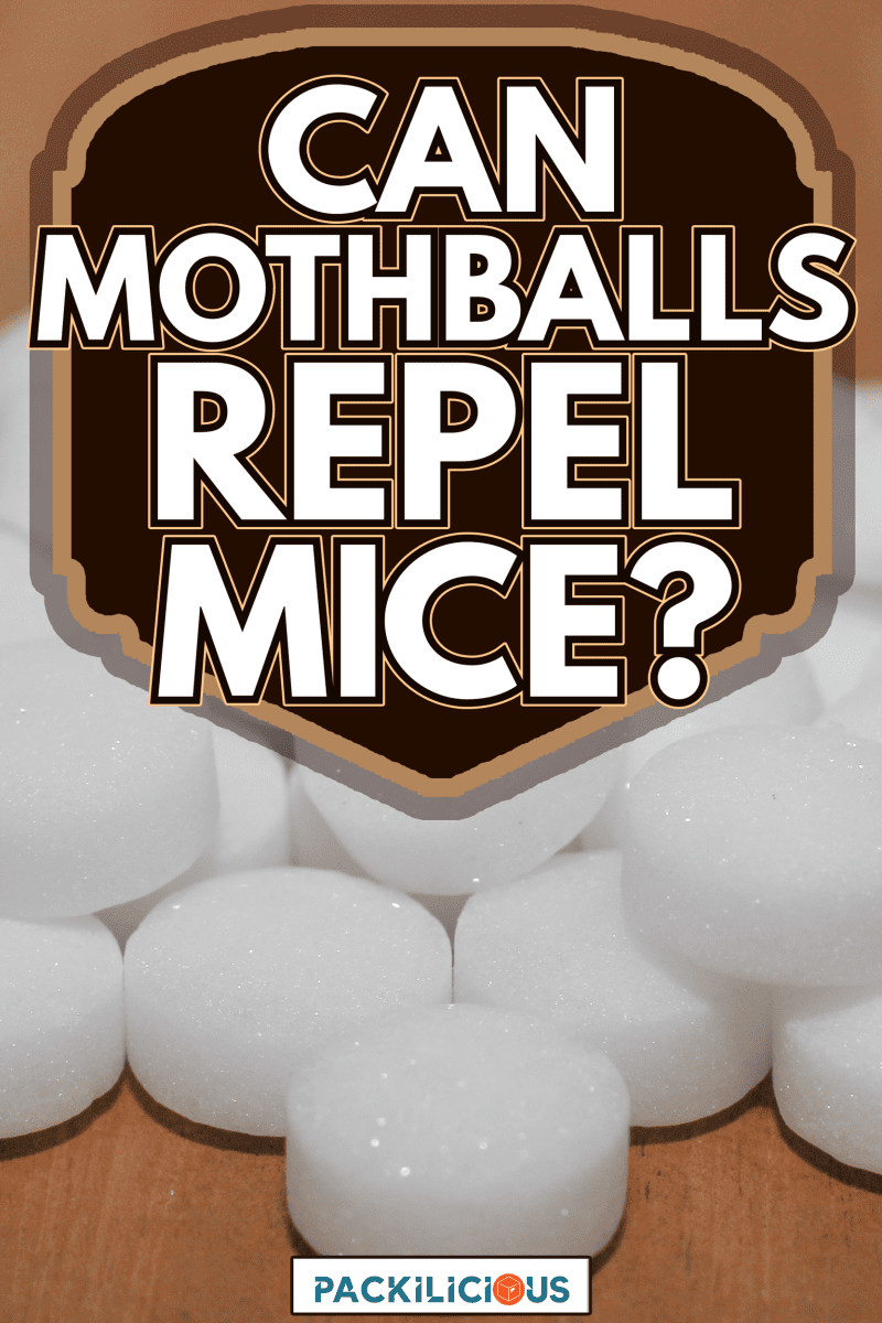 Mothballs with wood background - Can Mothballs Repel Mice