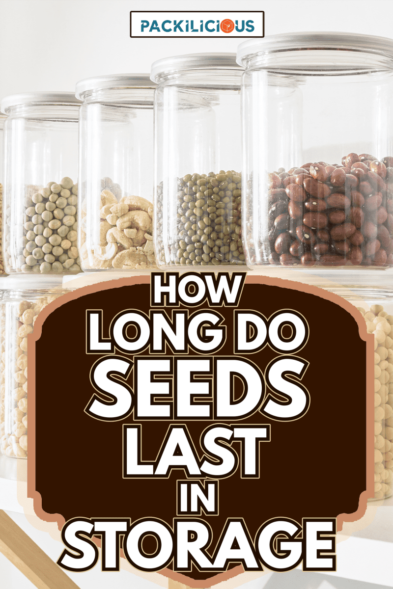 On the bright indoor kitchen shelves, neatly arranged glass jars are filled with various beans and whole grains - How Long Do Seeds Last In Storage