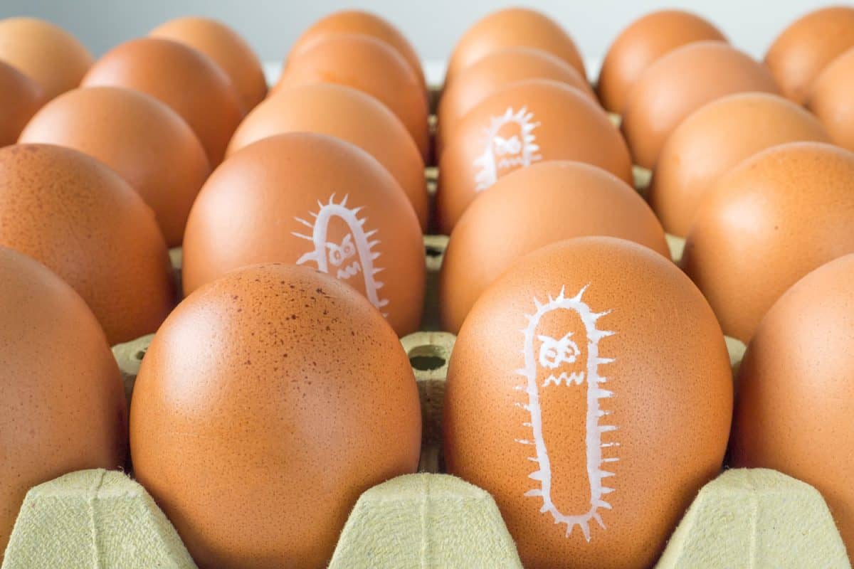 Salmonella bacterium drawn on the chicken eggs concept
