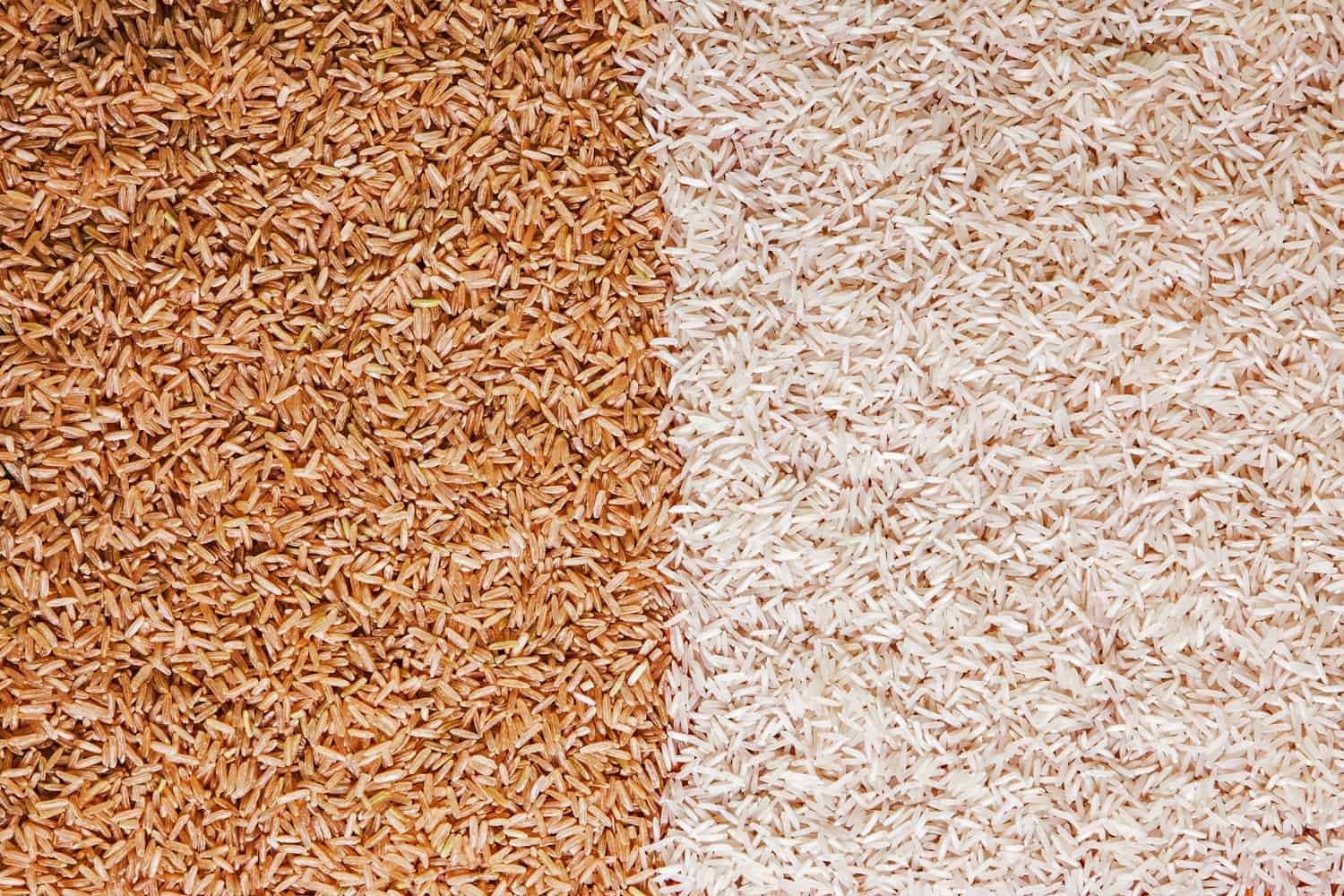 White and brown rice grains - contrast background texture.