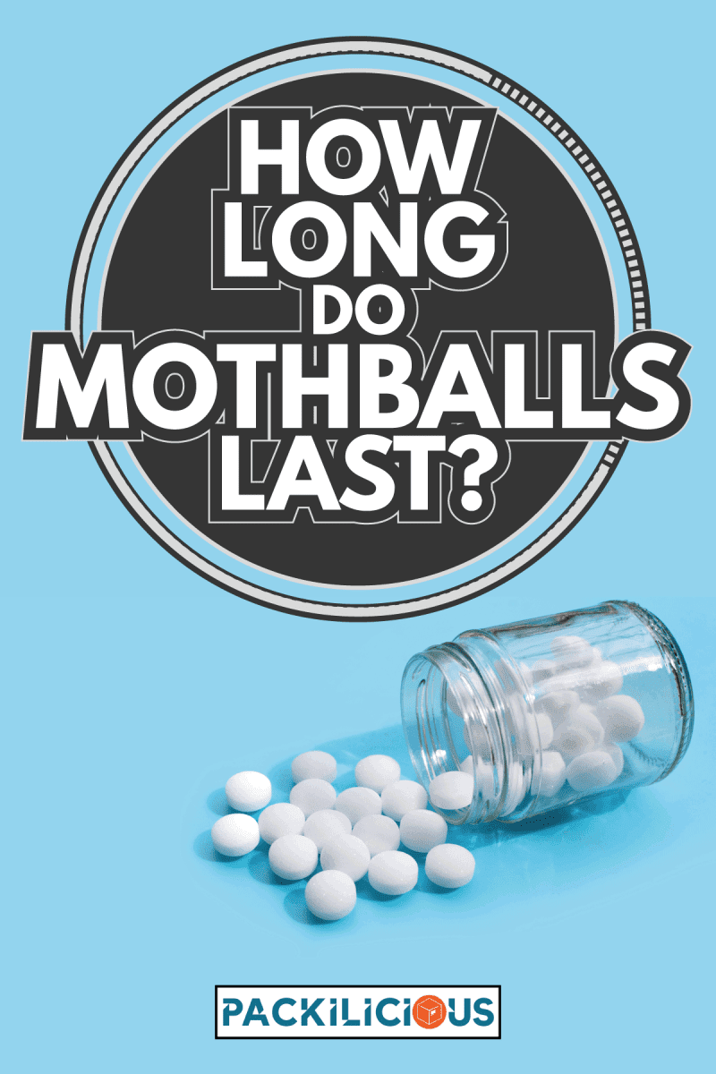 spilled mothballs from a glass jar on a blue background. How Long Do Mothballs Last